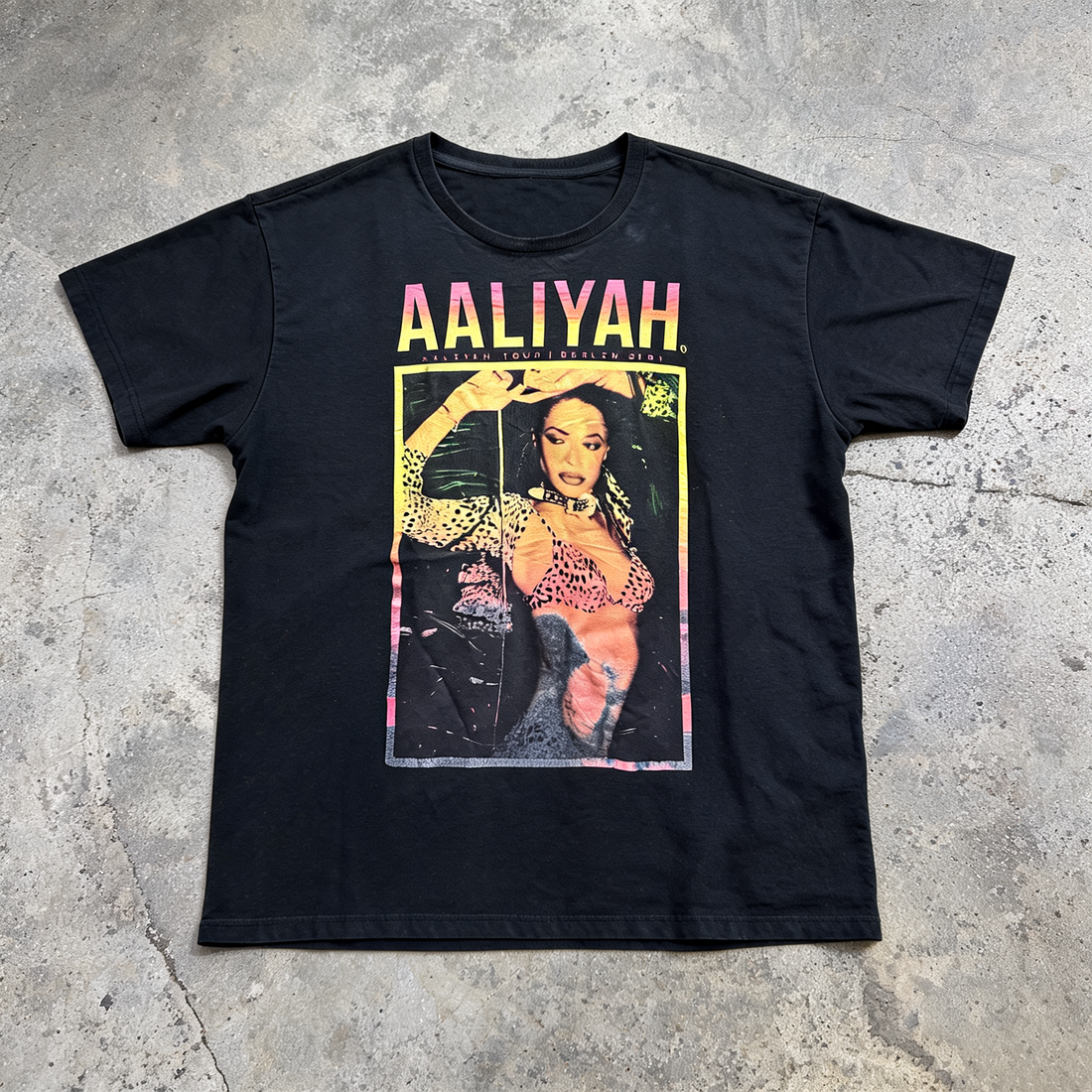Aaliyah Berlin Tour Vintage Tee